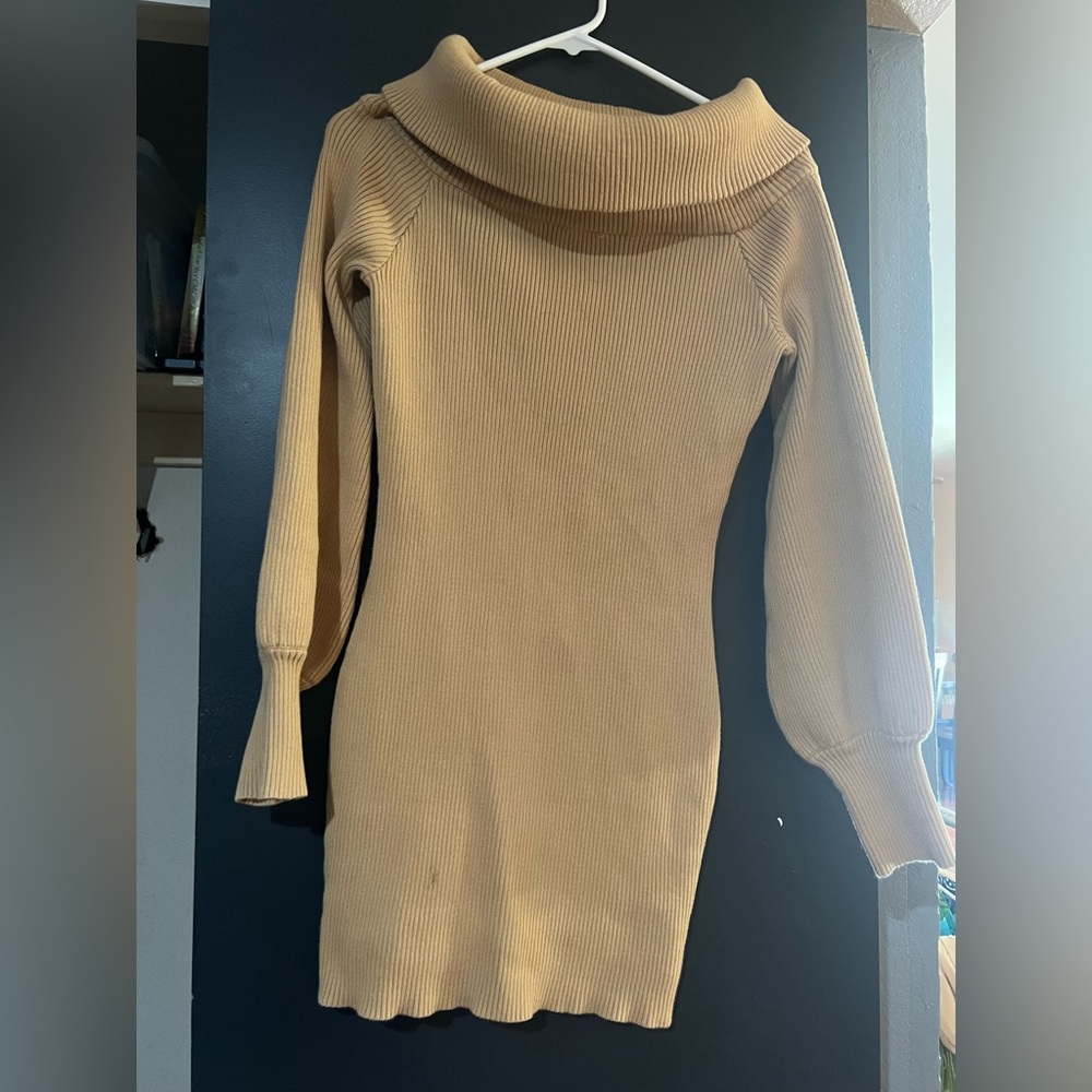 Fashion Nova turtleneck style long sleeve dress
